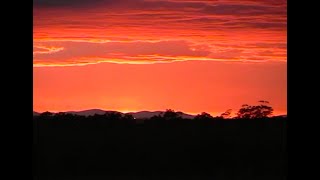 Melbourne  Hanging Rock Tour 2003 [upl. by Nemrac]