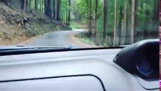 Horton Plains  Ohiya  Boralanda Road with Mitsubishi Montero [upl. by Ainirtac]