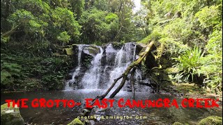 Lamington Adventures Up West Canungra Creek [upl. by Tiffani]