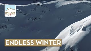 Endless Winter [upl. by Nethsa]