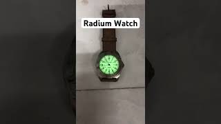 Radium Watch  LMP 2024 lamminhpass fypシ゚ radium radiumwatch fallout [upl. by End799]