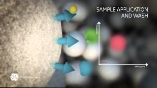 Principles of Affinity chromatography [upl. by Rew]