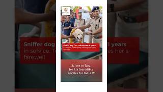 Jagilam Tara a police sniffer dog retirement ceremony at the police headquarters in Telangana [upl. by Nibram]