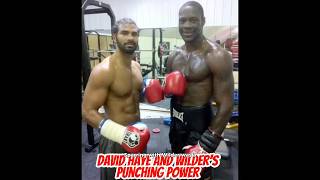 David Haye on what Wilders punching power is like [upl. by Letrice]