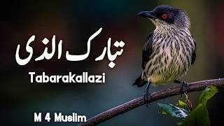 Juz 29 Tabarakallazi  Beautiful Recitation  Para 29 Tabarakallazi Complete  M 4 Muslim [upl. by Filomena900]