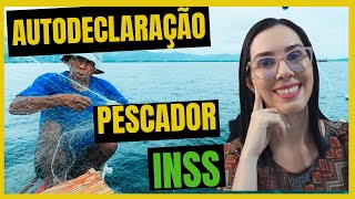 Como Preencher a Autodeclaração do Pescador Artesanal INSS Passo a Passo COMPLETO [upl. by Robina]