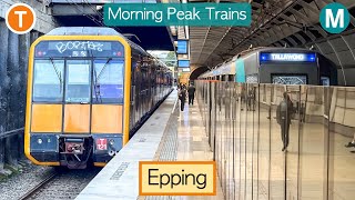 Transport for Sydney Vlog 843 Epping Station  Morning Peak Trains Part 2 [upl. by Bertha786]