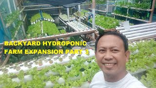 HYDROPONIC LETTUCE FARM IN BACOLOD CITY EXPANSION PART 3 [upl. by Ulick177]