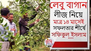 লেবু বাগান লীজ নিয়ে মাত্র ১৪ মাসেই সফলতার শীর্ষে সফিকুল ইসলাম। Seedless Lemon Farming [upl. by Eirehc]