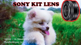 Kiếm tiền bằng Sony lens 1650 mm OSS REVIEW TEST QUAY VIDEO CHỤP [upl. by Genni]