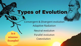 Types of Evolution Sexual selection included [upl. by Niotna]