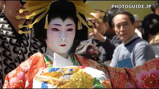 Asakusa Ichiyo Sakura Matsuri Oiran Dochu 第17回 浅草観音うら 一葉桜まつり おいらん道中 [upl. by Naamana]