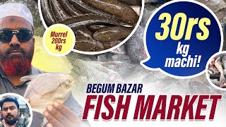 Begum Bazaar Fish Market  Murrel Fish 🐟begumbazar fishmarket fish market explore hyderabad [upl. by Gagne]