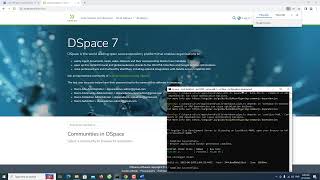 Customize User Interface of Dspace 7 on Windows 10 operating system [upl. by Hesta]