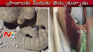 Man Attempts Selfie With Rattlesnake  Earns Bite And Hefty Medical Bill  NTV [upl. by Nahgen]