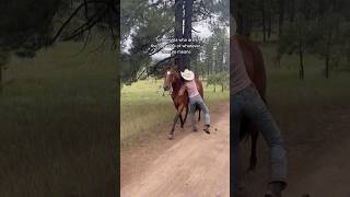 ✨✨✨cowgirls wrangler horseranch coltstarting western [upl. by Henni856]