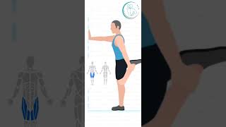 Exercise for quadriceps muscles viralvideo physiotherapy physiotherapy viralshorts shorts [upl. by Aurore970]