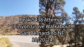 102024 San Bernardino NF Peak 5438 Attempt and Pinyon Grove Wrightwood Area Ca [upl. by Farra]