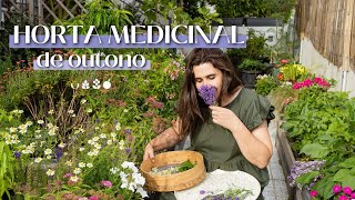 Horta Medicinal  Edição de Outono [upl. by Annuahs]