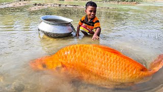 Amazing Big Fish Catching By Hand  Traditional Big Fish Catch By Hand in River Mud Water 2023 [upl. by Hameerak]