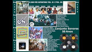 CONJUNTO SONOROS DOCE ESPIRITO [upl. by Hally895]