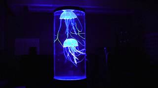 The Hypnotic Jellyfish Aquarium [upl. by Therron]