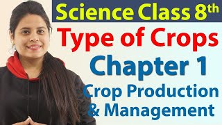 Type of Crops  Chapter 1  Crop Production and Management  Science Class 8 NCERT [upl. by Hailahk]