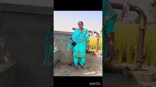 Pinda wale amppunjabi songs Ikshorts2270 [upl. by Esyli454]