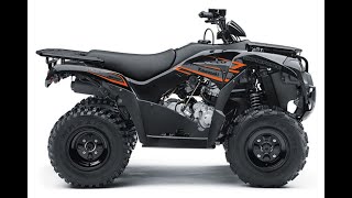 Kawasaki Brute Force 300 Review [upl. by Sunday222]