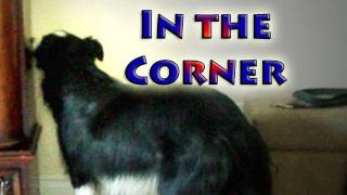 Dog Trick Tutorial  quotIn the Cornerquot [upl. by Jeffcott]