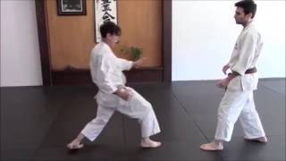 Ushiro Geri trainning  Rick Hotton Sensei [upl. by Patrica]