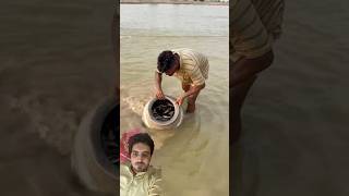 Chote chote fish k bachy 😂 fishfarming [upl. by Hgielac]