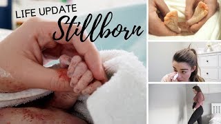 STILLBORN  LIFE UPDATE  JANUARY 2018 [upl. by Rehpotsyrk959]