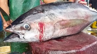 Amazing Tuna Cutting Skills for Family Party 🔥🔪🔥Live 20 Nov 24 [upl. by Gide652]