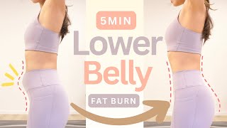 Quick Lower Belly Fat Workout  100 Burn amp Result Guaranteed  No equipment [upl. by Rbma]