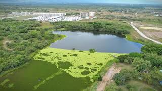 NEIVA  HUILA  COLOMBIA Con Dron [upl. by Elboa]