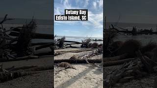 Botany Bay at Edisto Island [upl. by Manoop]