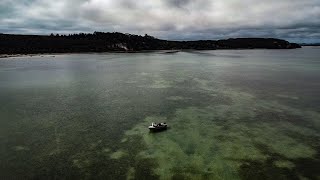 This Place Is So Special  Kingfish Sharks amp Snapper  Fishing NZ [upl. by Ruscio]