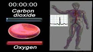 what is hemoglobin levels Hgb test anemia [upl. by Ahsilac]