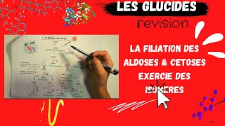 🔥 Révision la filiation des Aldoses amp Cétoses isomères avec des exemples et exercice BIOCHIMIE [upl. by Massimiliano936]