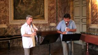 G Rossini Sonata III for two clarinets M Mangani  Sergio Bosi amp Corrado Giuffredi [upl. by Ecnadnac92]