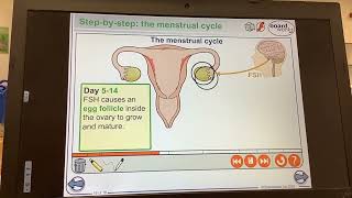 KS4GCSEBIOLOGYHormonesMenstrual cycle [upl. by Mackoff]