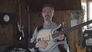 Danelectro Longhorn Bass Guitar Demo and Review [upl. by Ilenna]