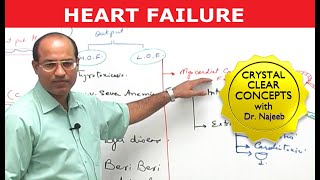 Heart Failure  Cardiac Pathology [upl. by Halona]