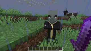 How to Get a Totem of Undying in Minecraft [upl. by Cirred]