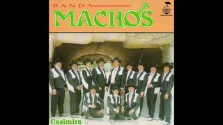 Banda Machos  Petronila La Chilanga [upl. by Corin]