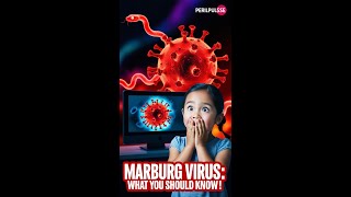 quotMarburg Virus Shocking Facts You NEED to Know 😱🦠quot [upl. by Sundstrom470]