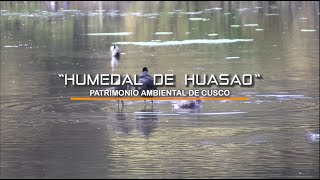 HUASAO HUMEDAL PATRIMONIO AMBIENTAL DEL CUSCO [upl. by Lleuqar]