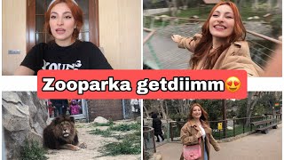 Zooparka getdik  VLOG [upl. by Eveleen]