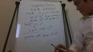 Zsigmondy Theorem stated [upl. by Orhtej]